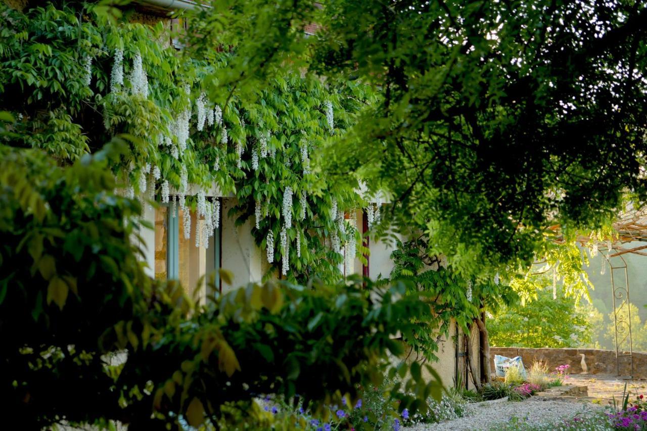 Chambres D'Hotes Secret Pyrenees Lasseube Bagian luar foto