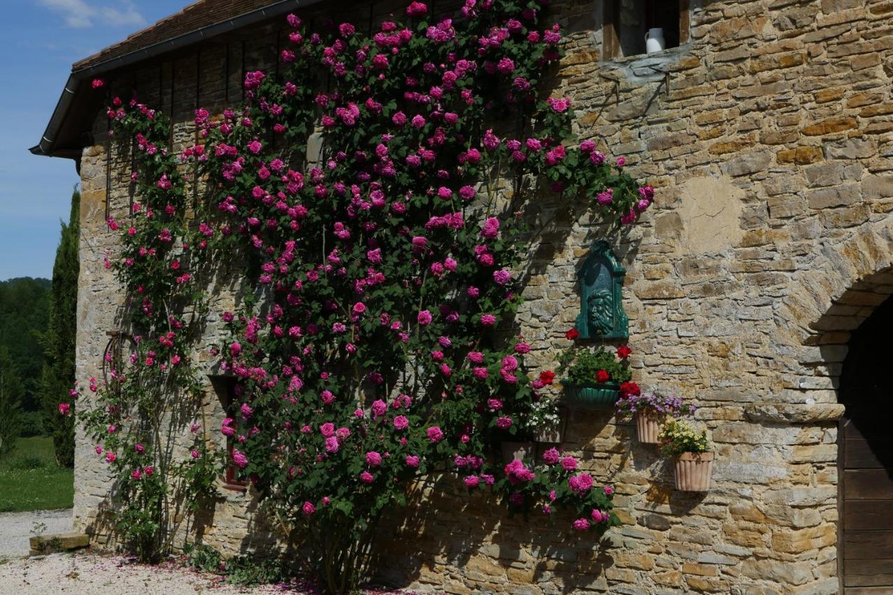 Chambres D'Hotes Secret Pyrenees Lasseube Bagian luar foto