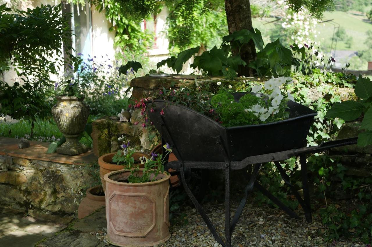 Chambres D'Hotes Secret Pyrenees Lasseube Bagian luar foto